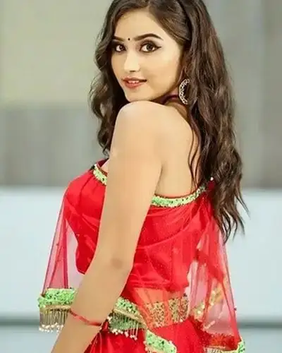 Call Girls Service Pavagada
